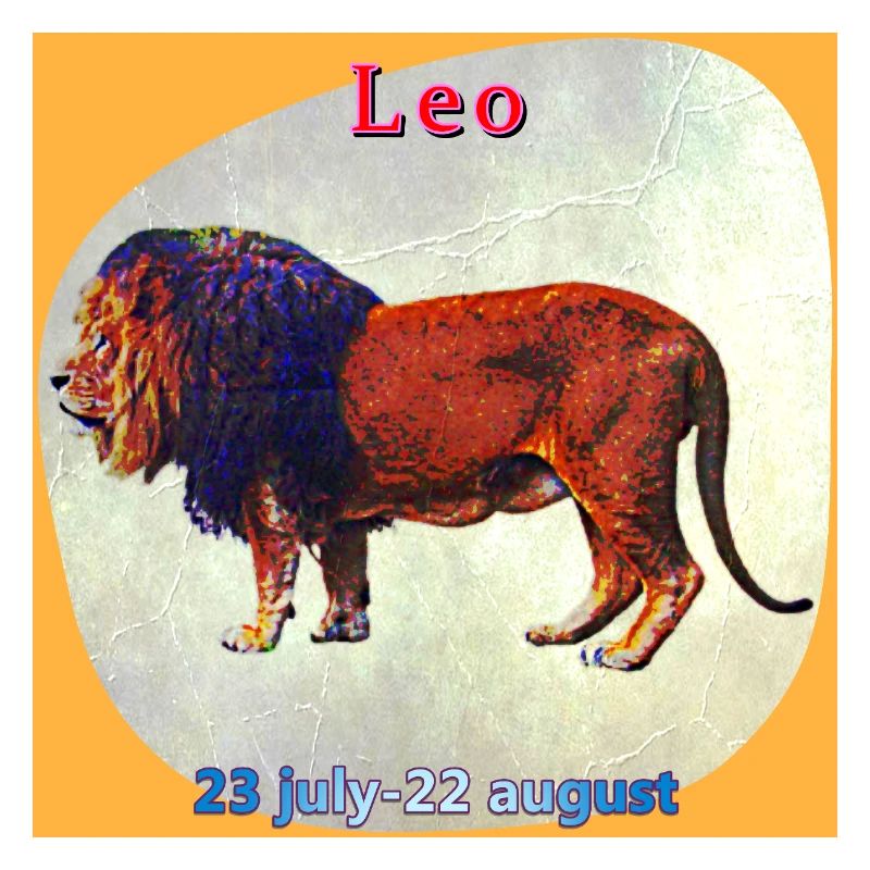 lion