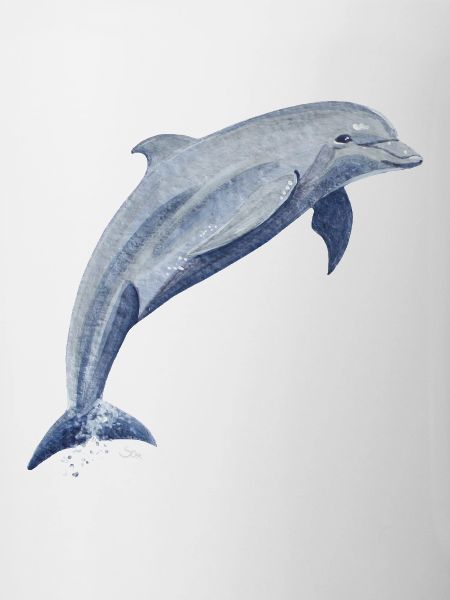 Dolphin Lucky Leap - Sonja von Staden