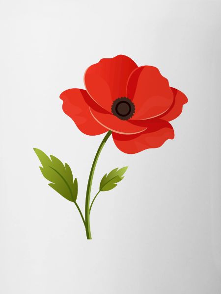 Fleur de pavot