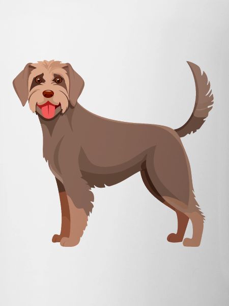 German Wirehaired Dog (Comic)