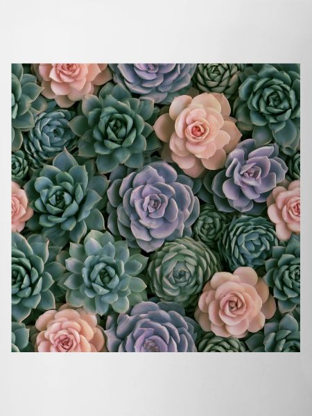 Pastellrosa und Sukkulenten