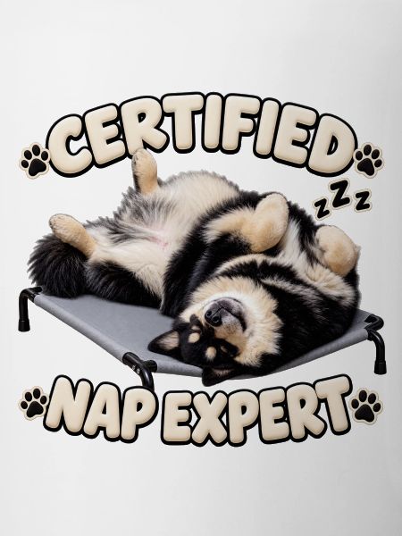 Zertifizierter Nickerchen-Experte – Finnischer Lapphund