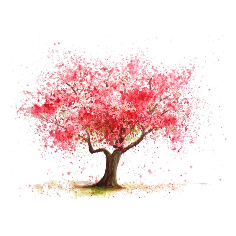 Kirschbaum
