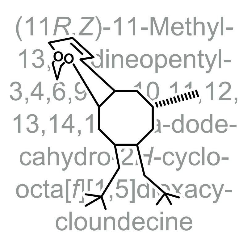 Bigbird - oiseaux - chimie