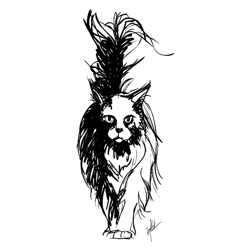 Noir Maine Coon