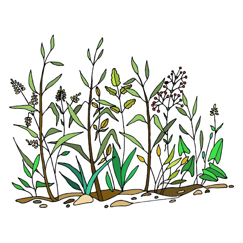 Prairie verte