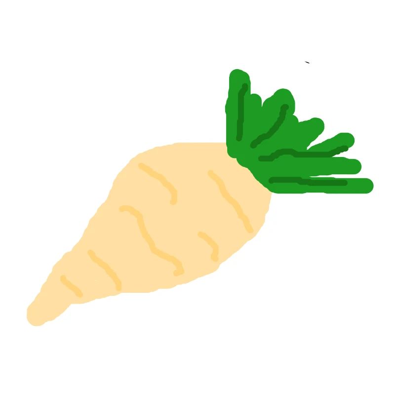 Radish sugar beet root vegetables