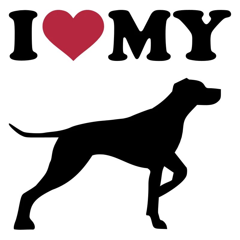 German Shorthaired Pointer