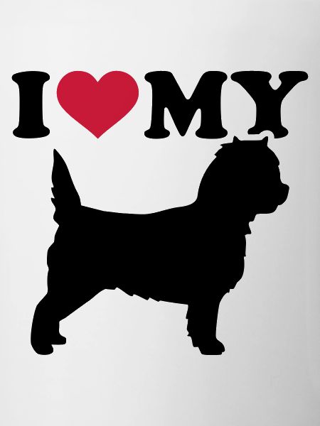 Cairn Terrier