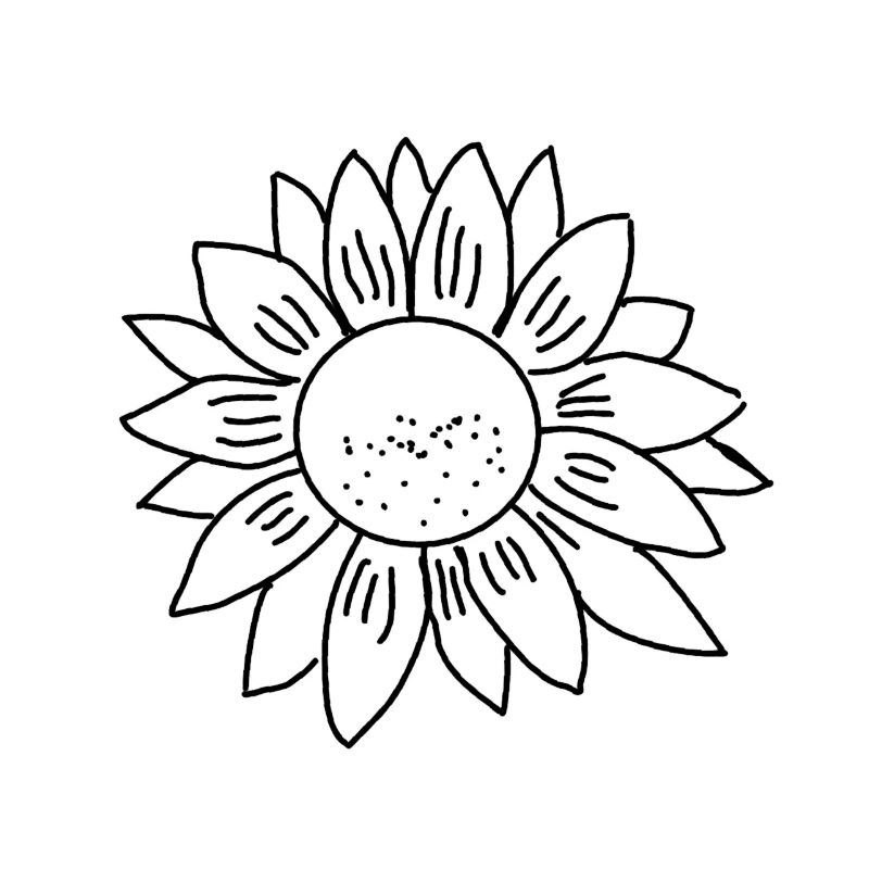 Sonnenblume!