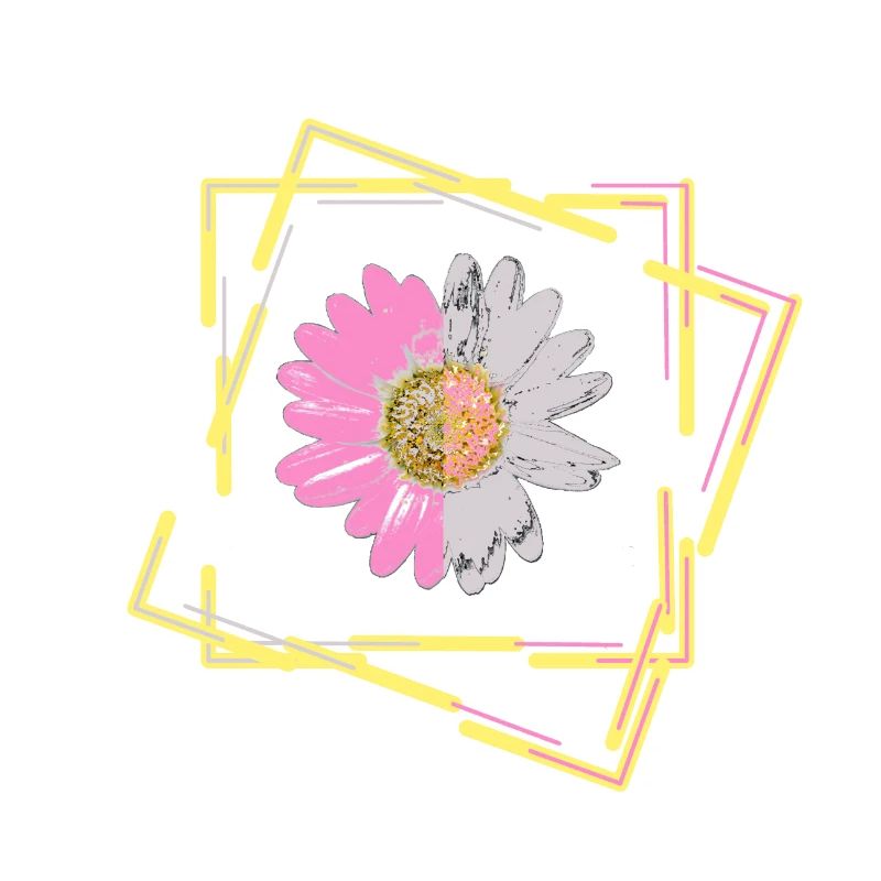 Marguerite, fleur, fleur