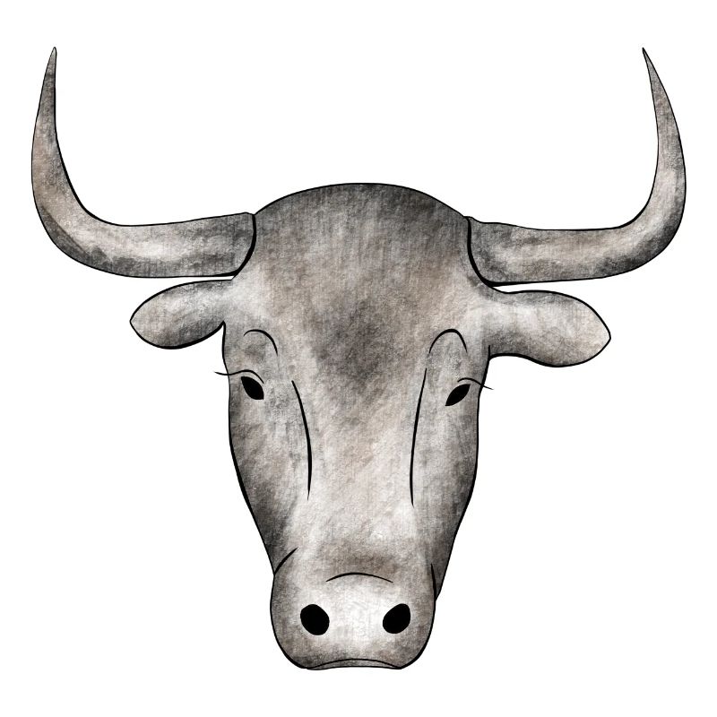 Stier