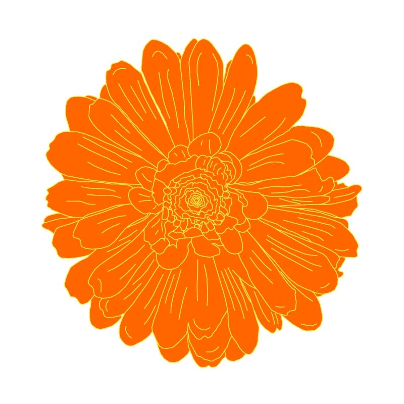Fleur Orange Classique