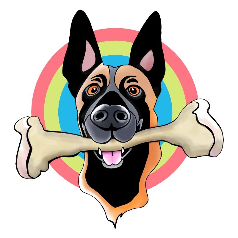 Malinois with bone