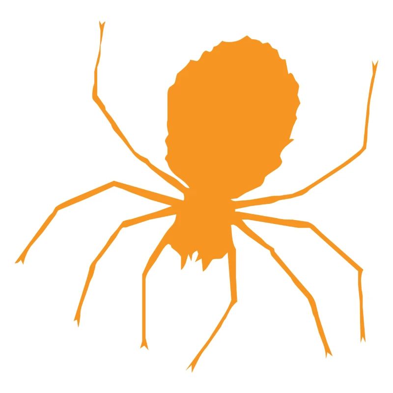 Spinne Halloween