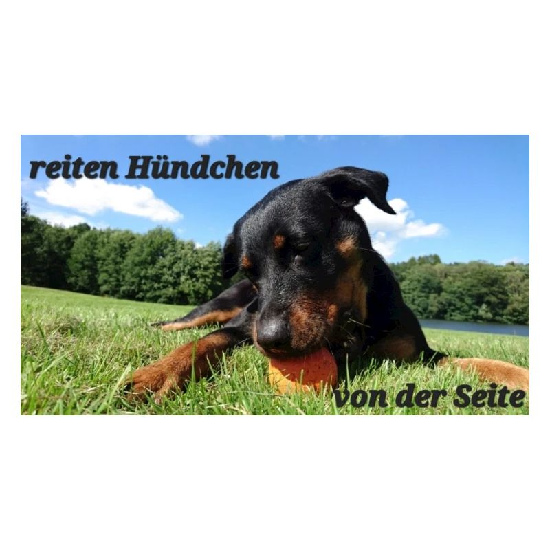Hündchen