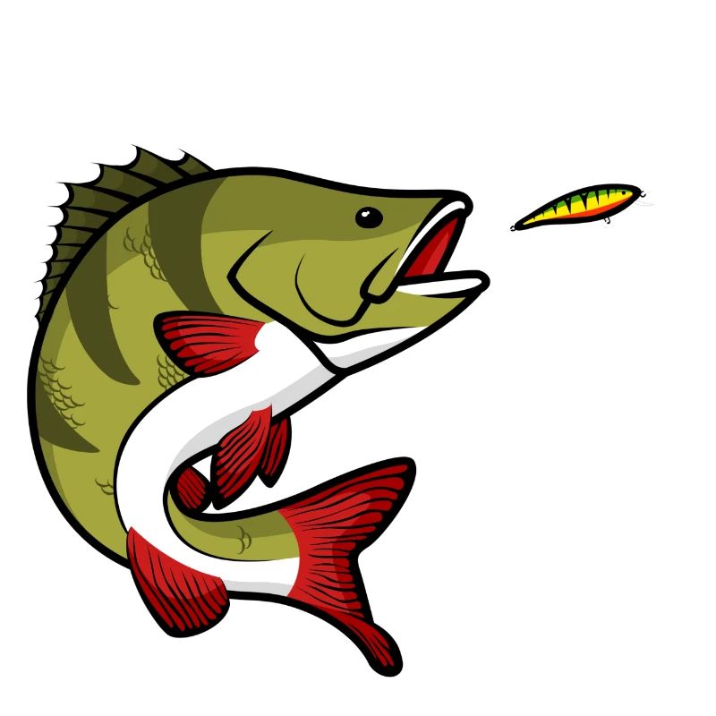 Perch Fishing Predatory fish Fish