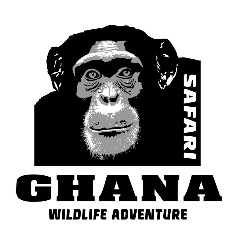 Ghana - Chimpanzés