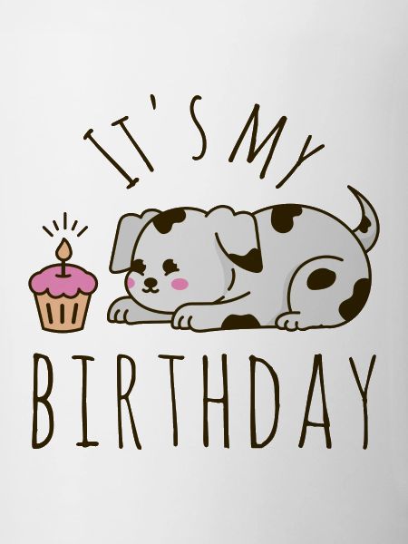 It's my Birthday Dog