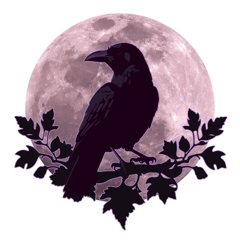 Raven in full moon light