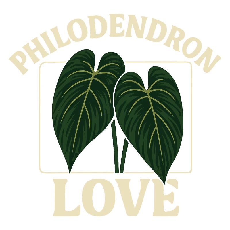 Amour des philodendrons