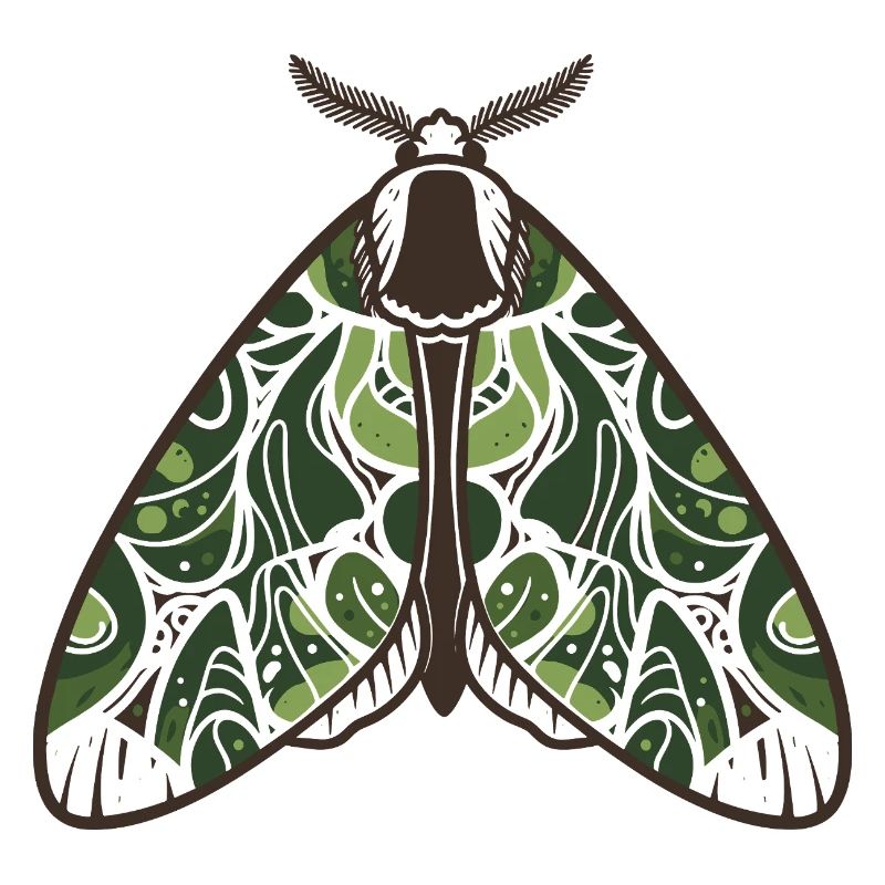 Papillon de nuit feuilluaire verdoyant