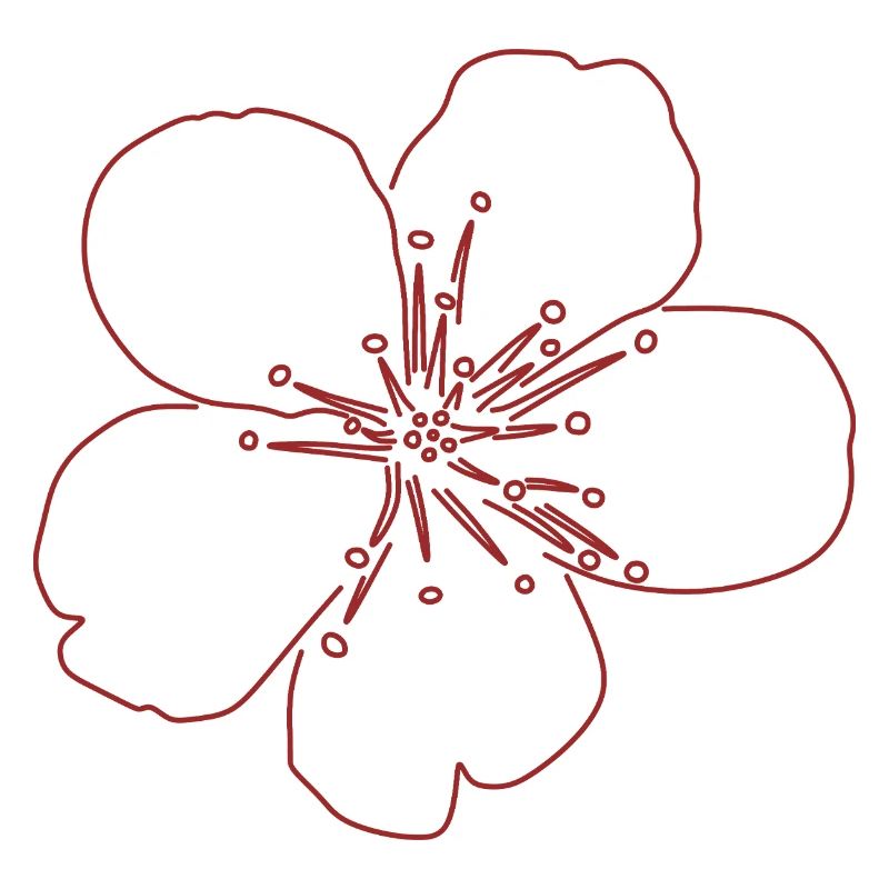 Kirschblüten-Blüten-Sketch
