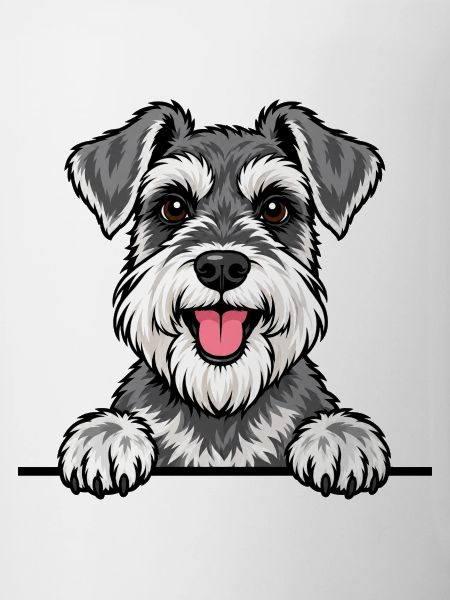 Zwergschnauzer
