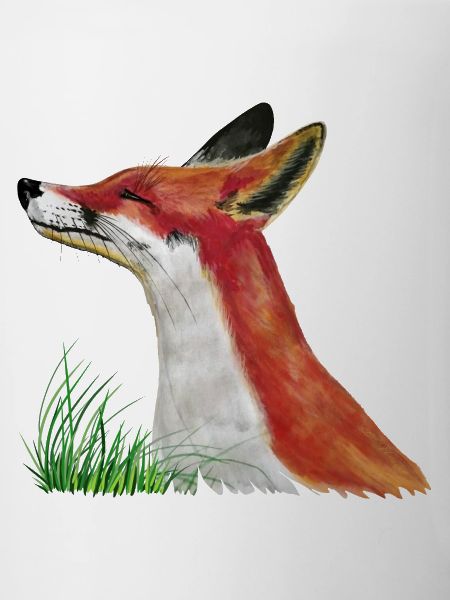 Fuchs schnuppert im Gras