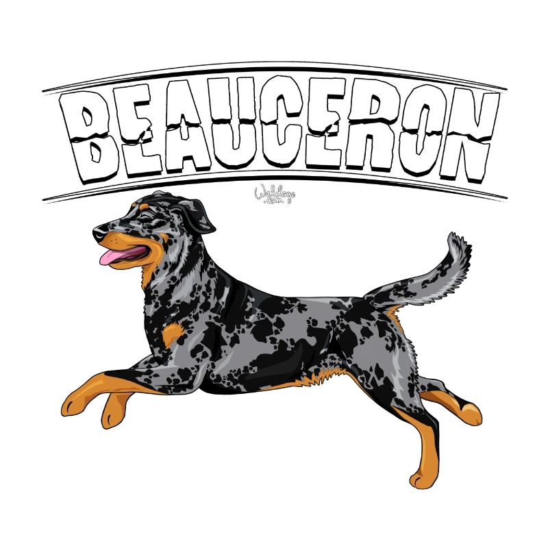 Beauceron