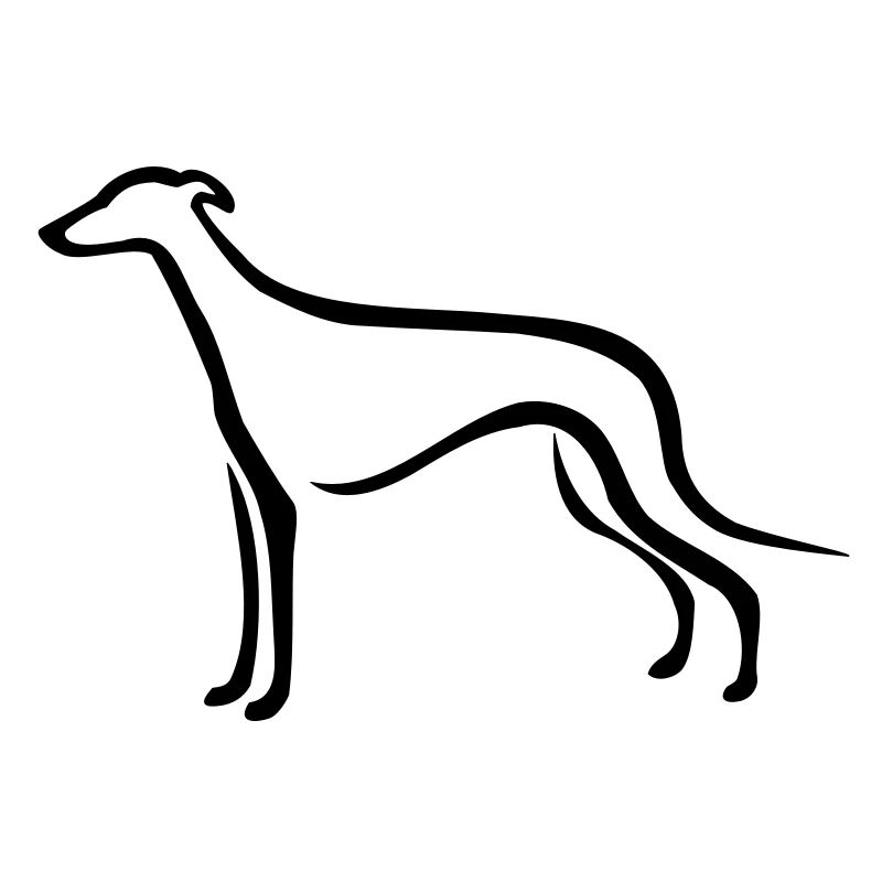 Greyhound