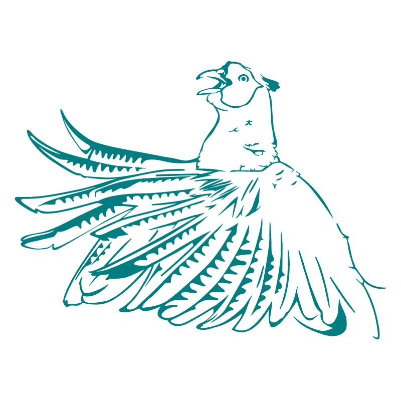Fasan - der Pfau des Ackers