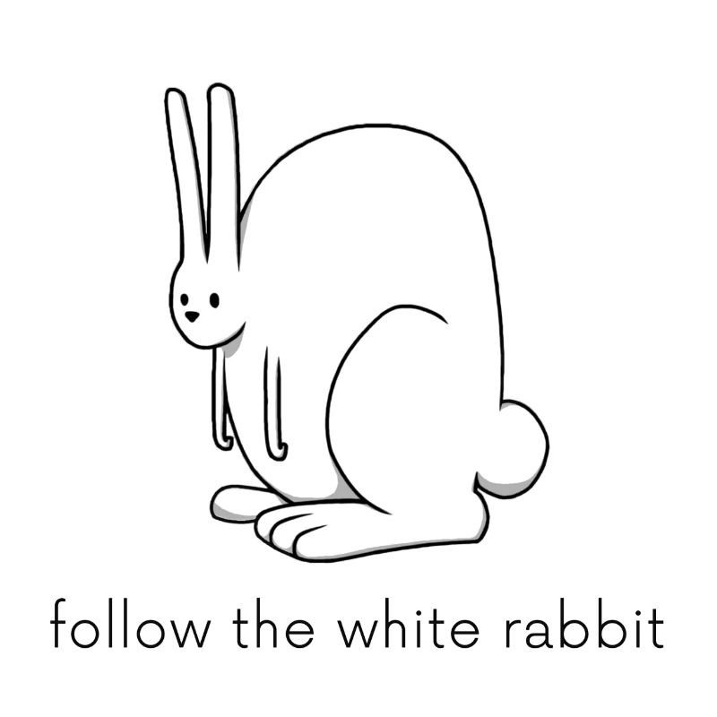 suis le lapin blanc