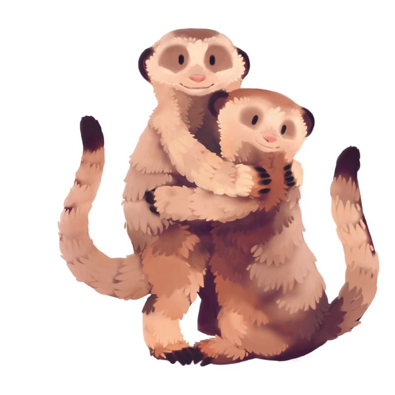 Erdmännchen Illustration