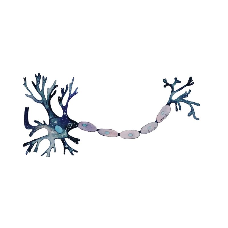 neurone