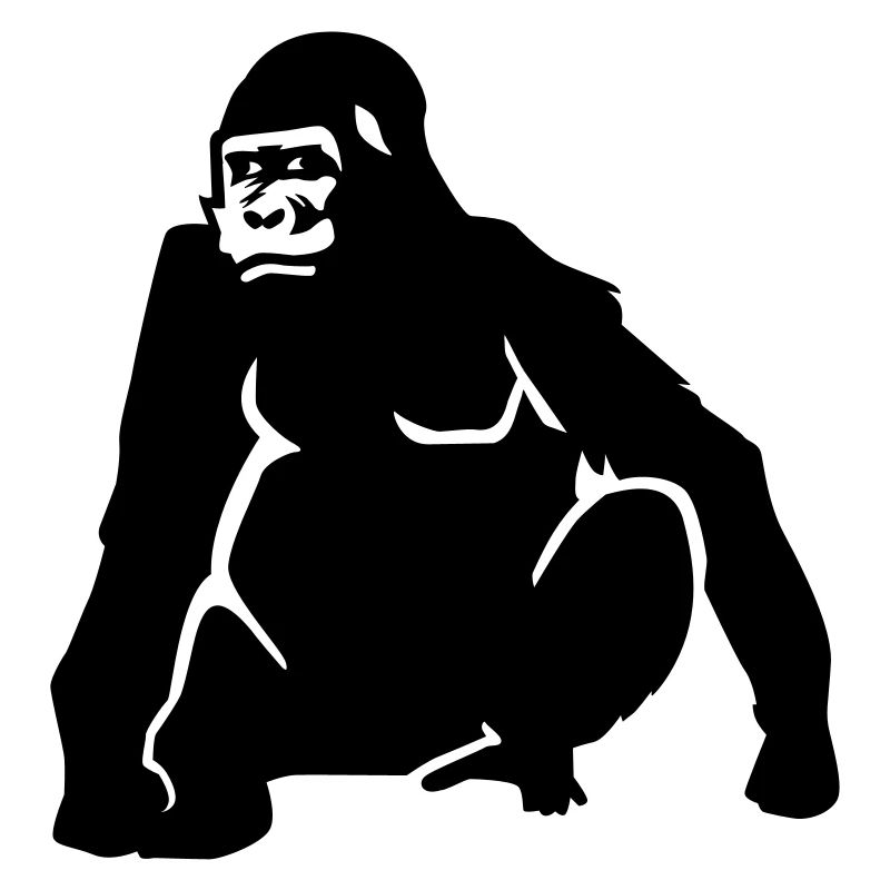 Gorilla