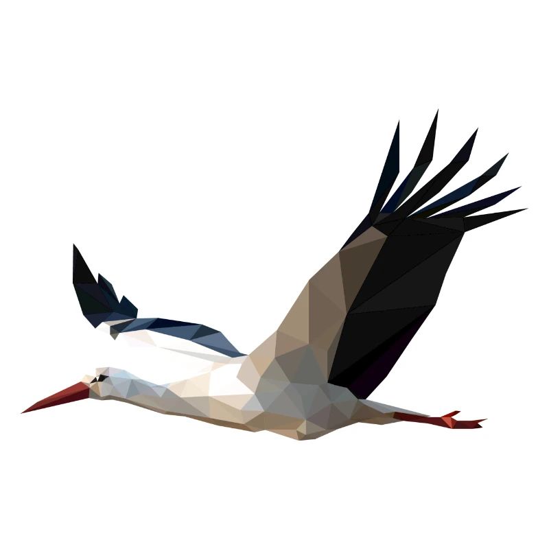 Storch