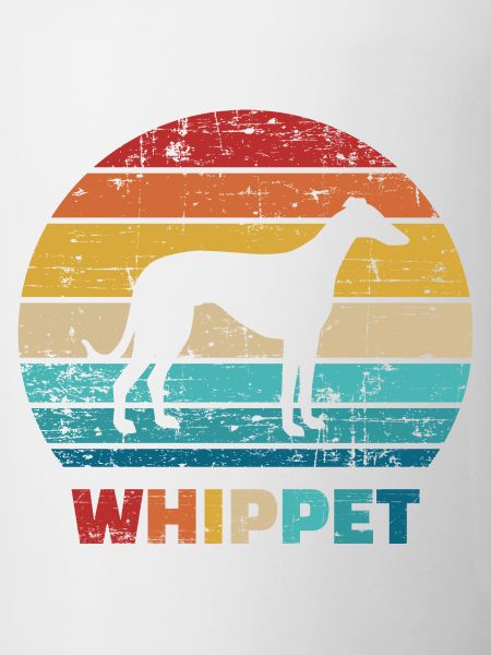 Whippet