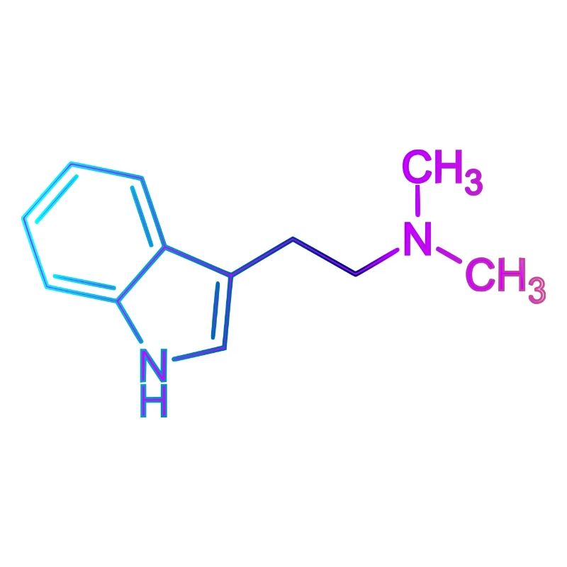 Ayahuasca DMT Molekül N,N-Dimethyltryptamin