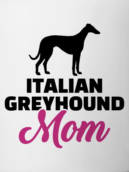 Italian Greyhound