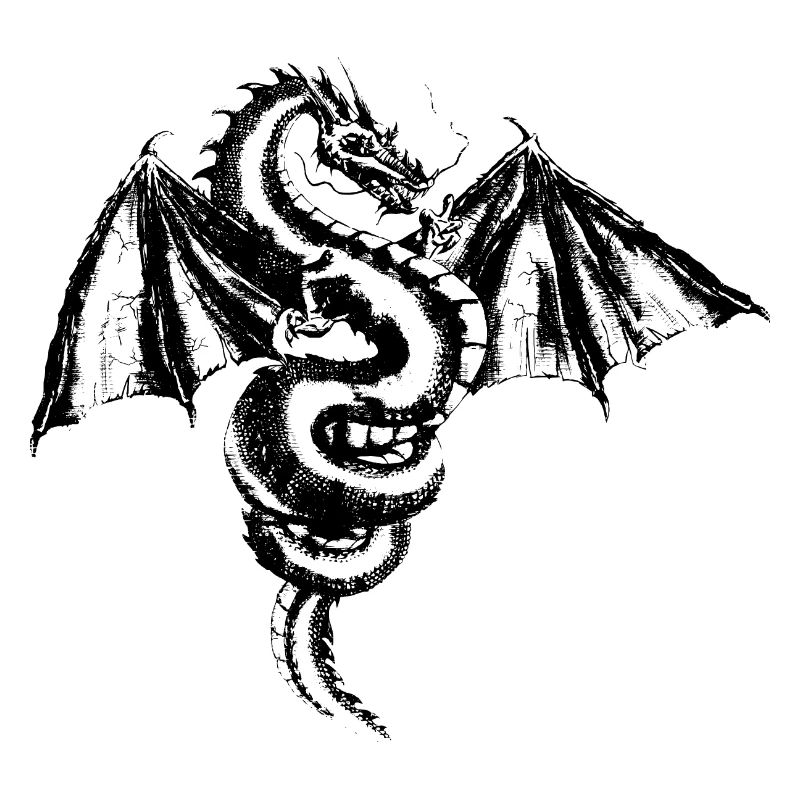 dragon