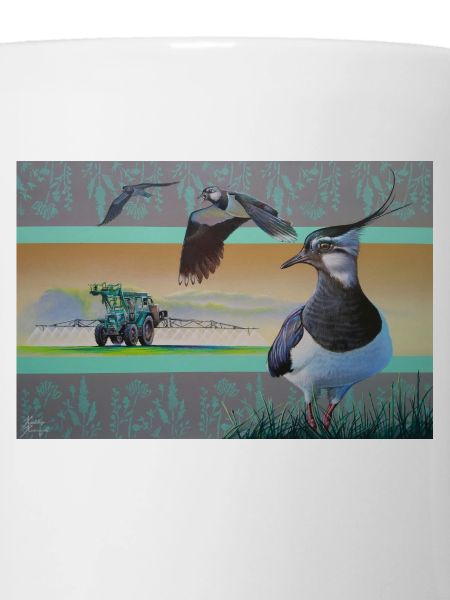 lapwing