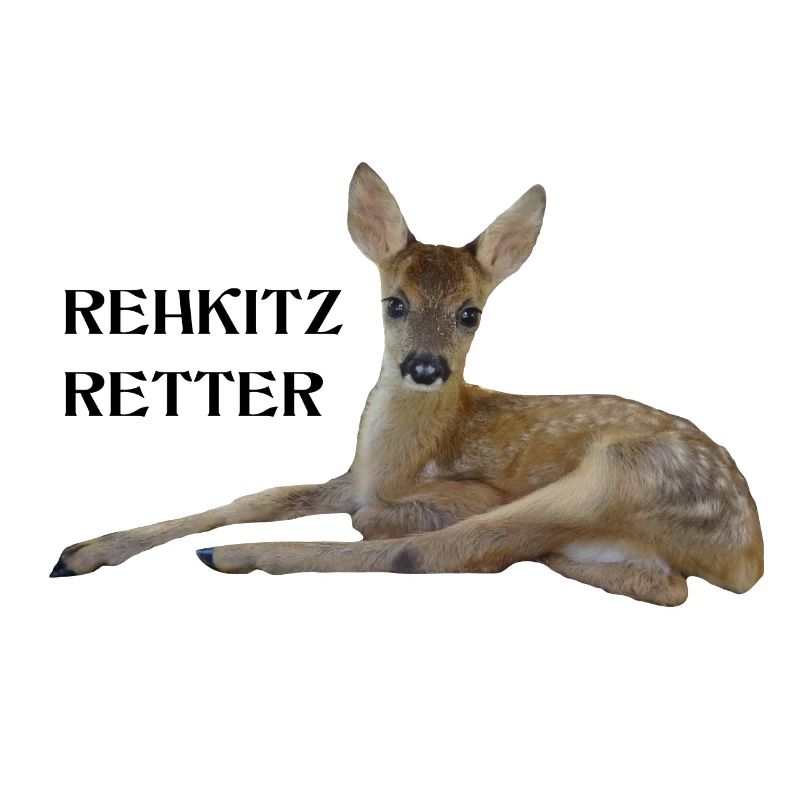 Rehkitz 8