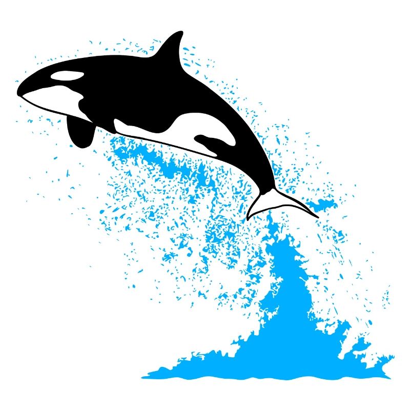 Orca, killer whale, killer whale, killer whale, sea