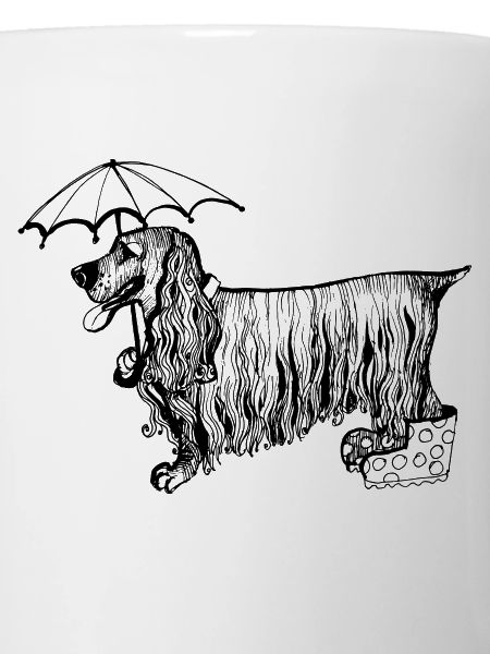 Cocker spaniel