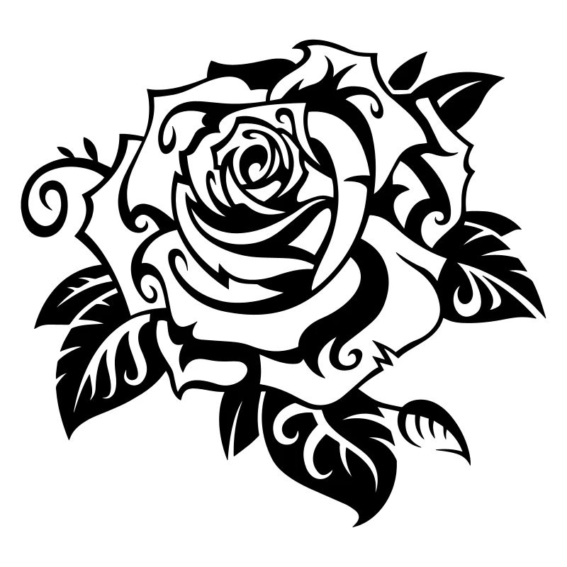 Rose blanche