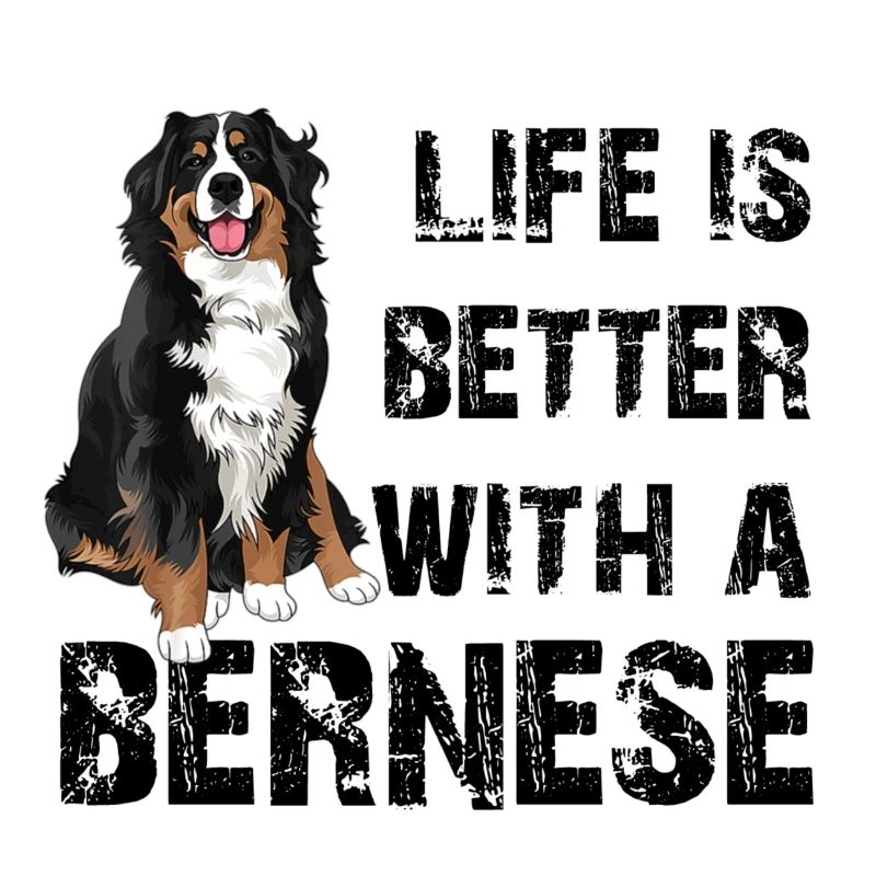 Bouvier bernois