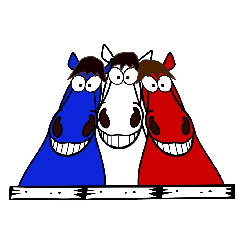 Bleu Blanc Rouge Chevaux