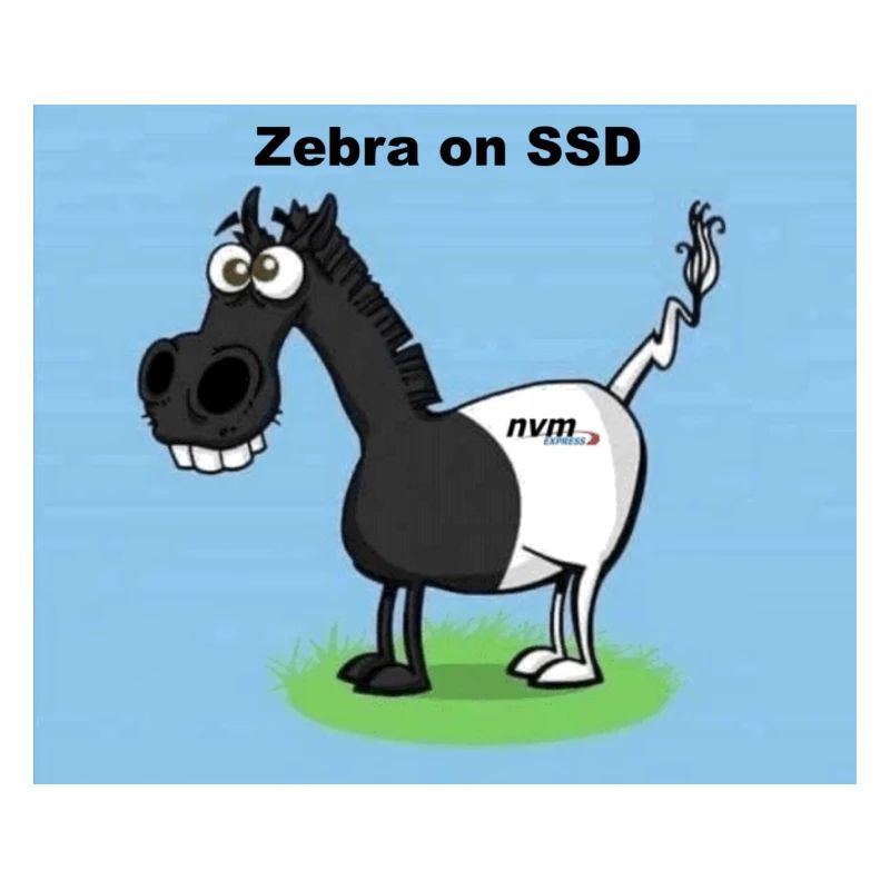 Zebra on SSD