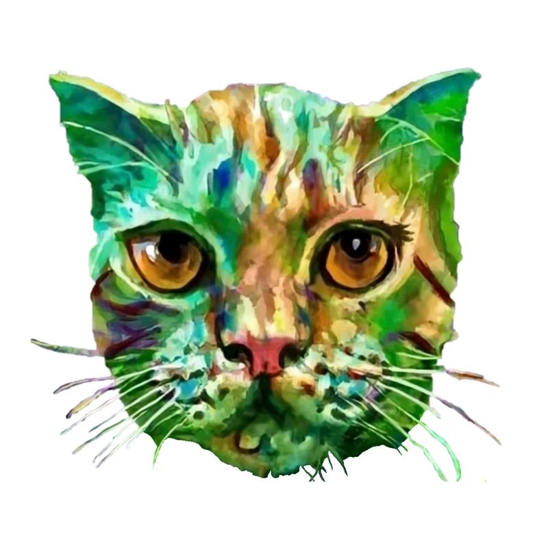 Bunte Katze